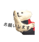 毎日使えるブサカワハクちゃん。②（個別スタンプ：20）