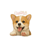 西野さん犬さんスタンプ コーギー（個別スタンプ：1）