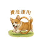 西野さん犬さんスタンプ コーギー（個別スタンプ：6）