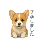 西野さん犬さんスタンプ コーギー（個別スタンプ：12）
