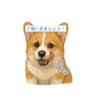 西野さん犬さんスタンプ コーギー（個別スタンプ：13）
