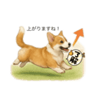 西野さん犬さんスタンプ コーギー（個別スタンプ：15）