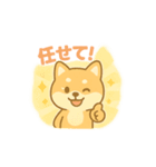 かわいい柴犬の使える日常会話（個別スタンプ：4）