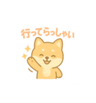 かわいい柴犬の使える日常会話（個別スタンプ：5）