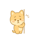 かわいい柴犬の使える日常会話（個別スタンプ：6）