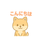かわいい柴犬の使える日常会話（個別スタンプ：10）