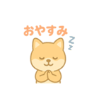 かわいい柴犬の使える日常会話（個別スタンプ：11）