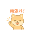 かわいい柴犬の使える日常会話（個別スタンプ：12）
