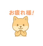 かわいい柴犬の使える日常会話（個別スタンプ：13）