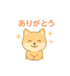かわいい柴犬の使える日常会話（個別スタンプ：17）