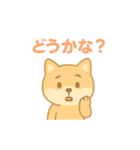 かわいい柴犬の使える日常会話（個別スタンプ：21）