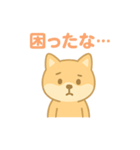 かわいい柴犬の使える日常会話（個別スタンプ：22）