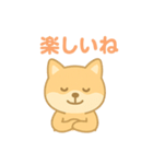 かわいい柴犬の使える日常会話（個別スタンプ：23）