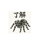 タランチュラ（水墨画風）（個別スタンプ：1）