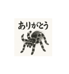 タランチュラ（水墨画風）（個別スタンプ：5）