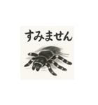 タランチュラ（水墨画風）（個別スタンプ：8）