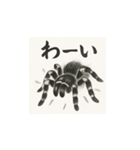 タランチュラ（水墨画風）（個別スタンプ：9）