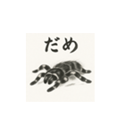 タランチュラ（水墨画風）（個別スタンプ：10）