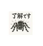 タランチュラ（水墨画風）（個別スタンプ：11）