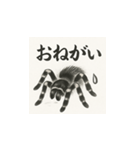 タランチュラ（水墨画風）（個別スタンプ：12）