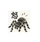 タランチュラ（水墨画風）（個別スタンプ：13）