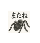 タランチュラ（水墨画風）（個別スタンプ：15）