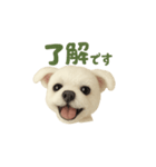 パープル一家のマルチーズ（個別スタンプ：5）