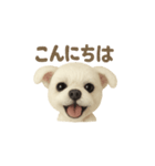パープル一家のマルチーズ（個別スタンプ：6）