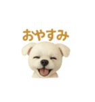 パープル一家のマルチーズ（個別スタンプ：7）