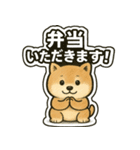 しばいぬの「弁当いただきます！」（個別スタンプ：1）
