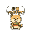 しばいぬの「弁当いただきます！」（個別スタンプ：3）