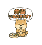 しばいぬの「弁当いただきます！」（個別スタンプ：8）