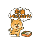 しばいぬの「弁当いただきます！」（個別スタンプ：18）