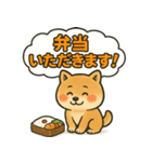 しばいぬの「弁当いただきます！」（個別スタンプ：20）