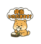 しばいぬの「弁当いただきます！」（個別スタンプ：24）