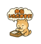 しばいぬの「弁当いただきます！」（個別スタンプ：28）