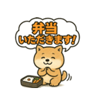 しばいぬの「弁当いただきます！」（個別スタンプ：30）