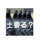 はとむかつく2（個別スタンプ：2）