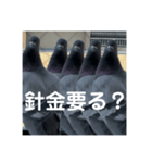 はとむかつく2（個別スタンプ：3）