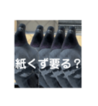 はとむかつく2（個別スタンプ：9）