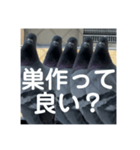 はとむかつく2（個別スタンプ：13）