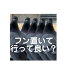はとむかつく2（個別スタンプ：14）