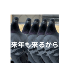 はとむかつく2（個別スタンプ：16）