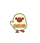 ぴーしゃ＆じぃじの文鳥すたんぷ♪（個別スタンプ：1）