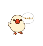 ぴーしゃ＆じぃじの文鳥すたんぷ♪（個別スタンプ：2）