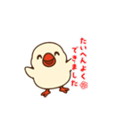 ぴーしゃ＆じぃじの文鳥すたんぷ♪（個別スタンプ：6）
