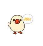 ぴーしゃ＆じぃじの文鳥すたんぷ♪（個別スタンプ：7）