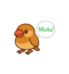 ぴーしゃ＆じぃじの文鳥すたんぷ♪（個別スタンプ：10）