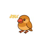 ぴーしゃ＆じぃじの文鳥すたんぷ♪（個別スタンプ：11）