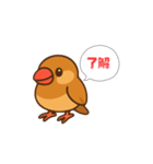ぴーしゃ＆じぃじの文鳥すたんぷ♪（個別スタンプ：12）
